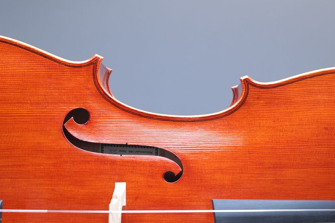 Klotz Julia - Mittenwald Anno 2026 - Palmkatzl - C-436